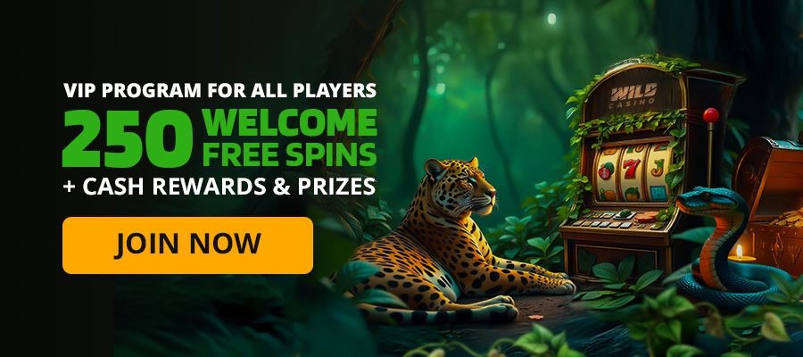 banner-gif